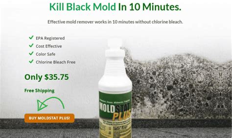 What kills black mold instantly. Things To Know About What kills black mold instantly. 